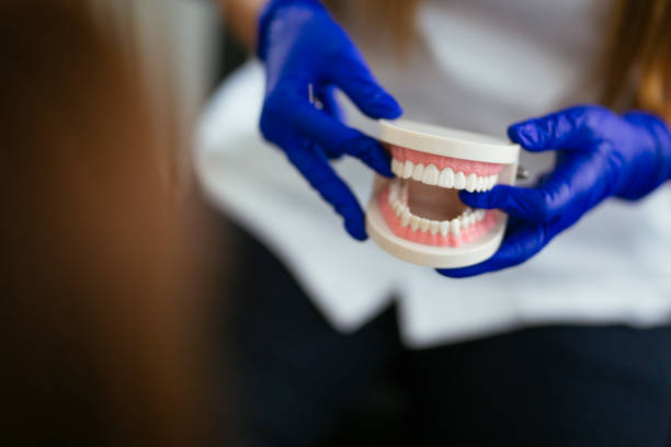 Best Dental Inlays and Onlays  in Winthrop Harbor, IL
