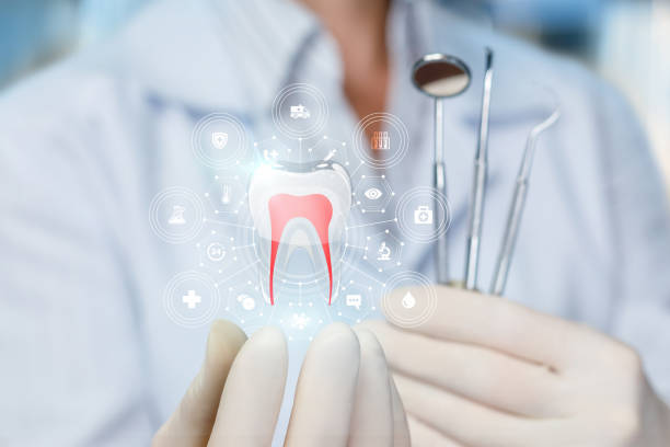 Why Choose Us for Your Dental Needs in Winthrop Harbor, IL